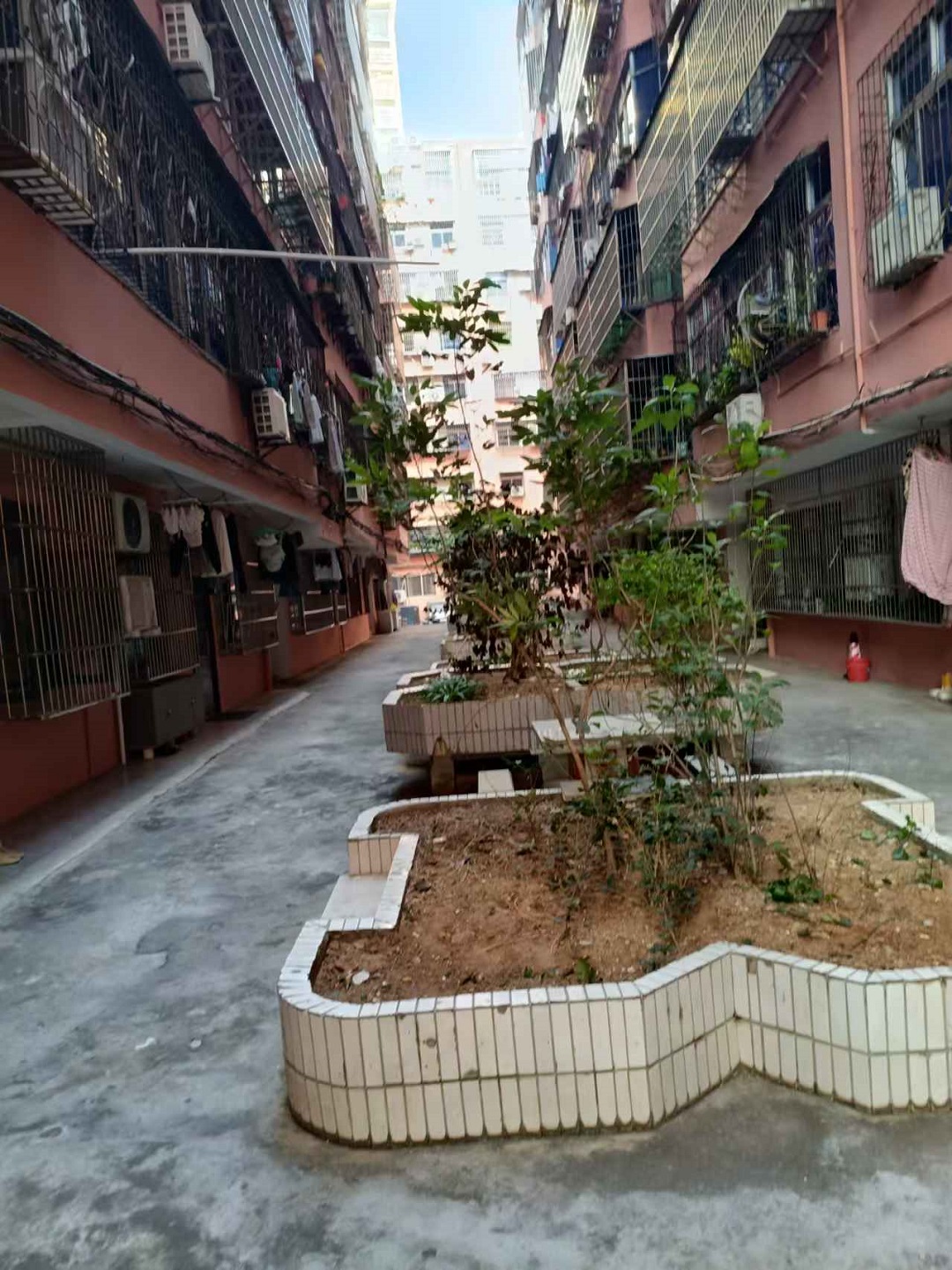 推荐拍品
